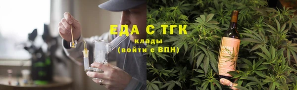 ECSTASY Гусь-Хрустальный