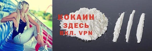 PSILOCYBIN Дмитриев