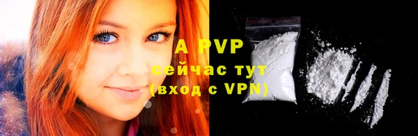 сатива Дмитров
