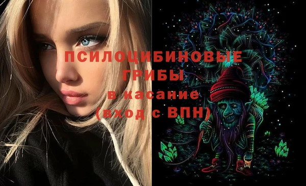сатива Дмитров