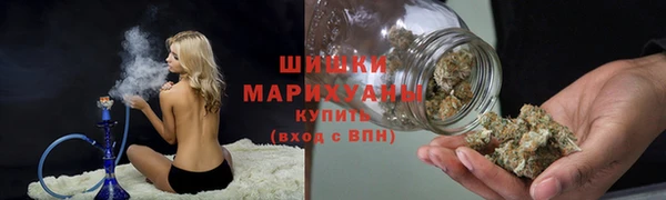 spice Гусев