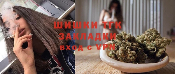сатива Дмитров