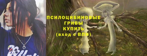 сатива Дмитров