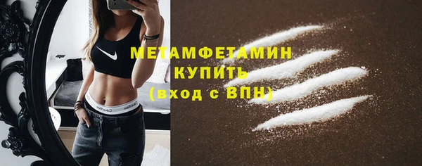PSILOCYBIN Дмитриев