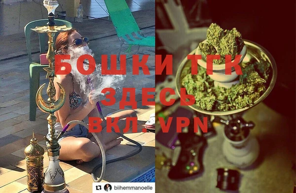 сатива Дмитров
