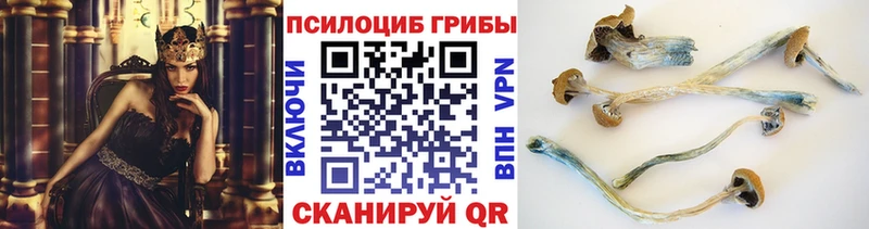Купить где  Ижевск  Псилоцибиновые грибы Psilocybine cubensis 